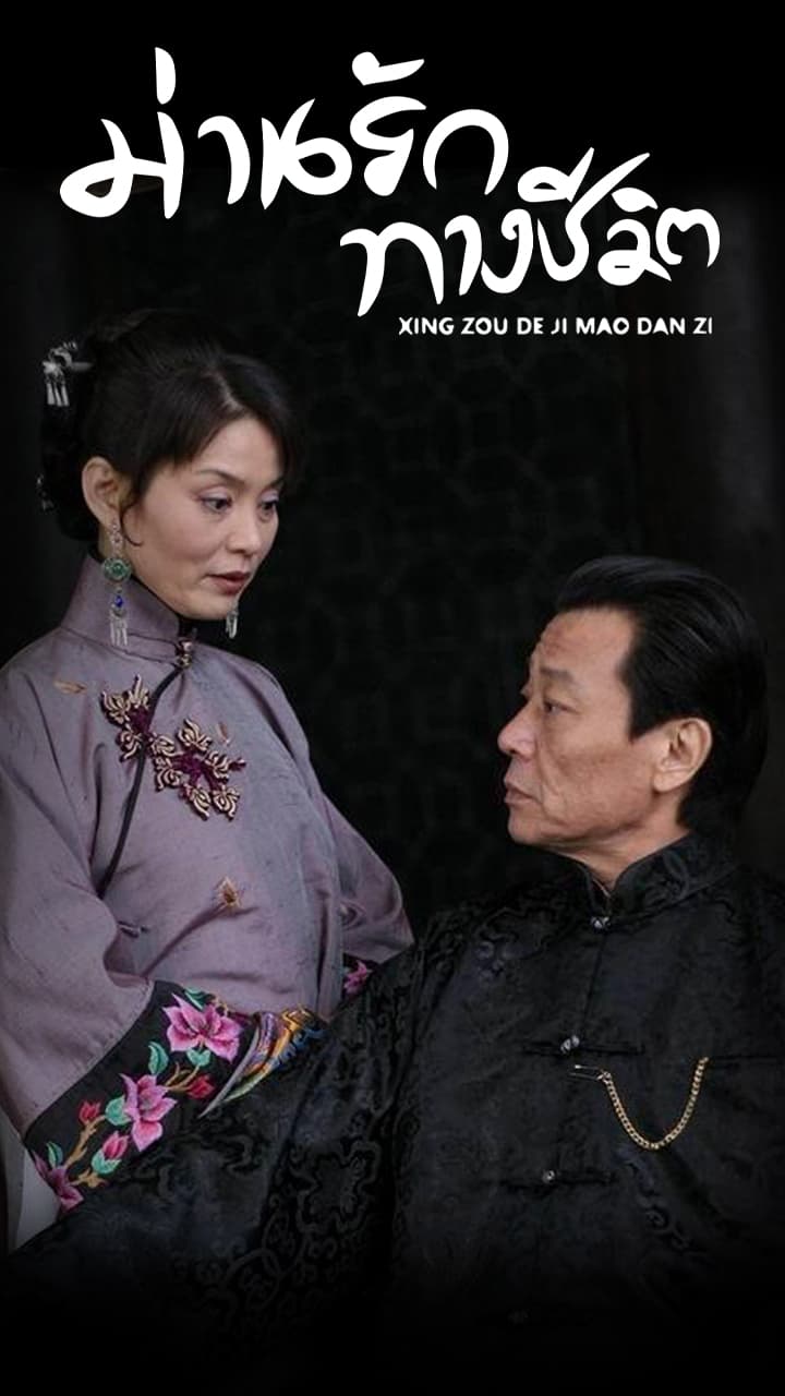 XING ZOU JI MAO DAN ZI