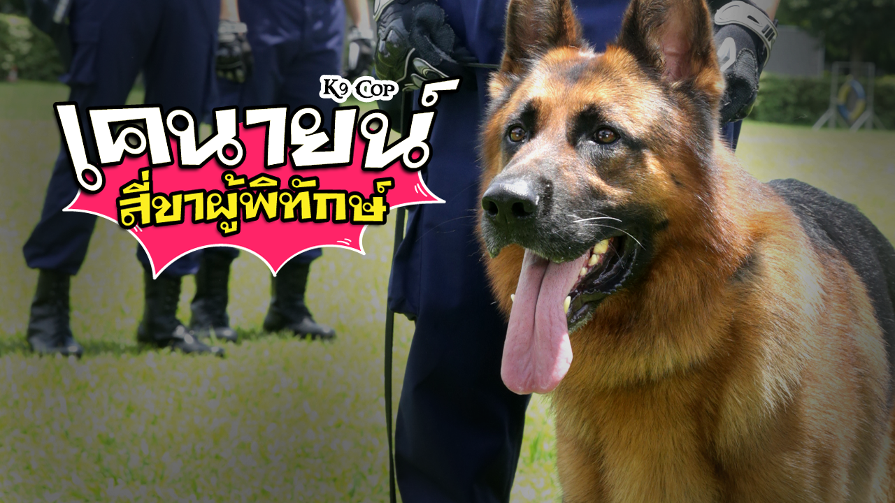 K9 COP