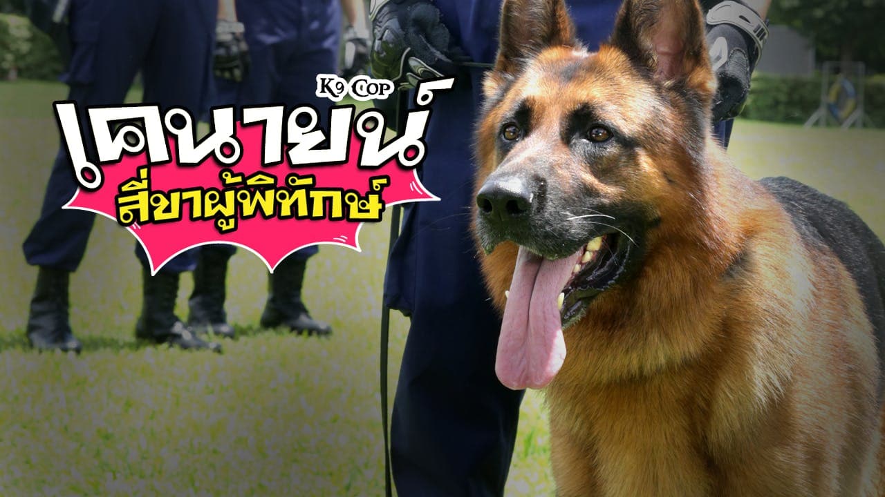 K9 COP