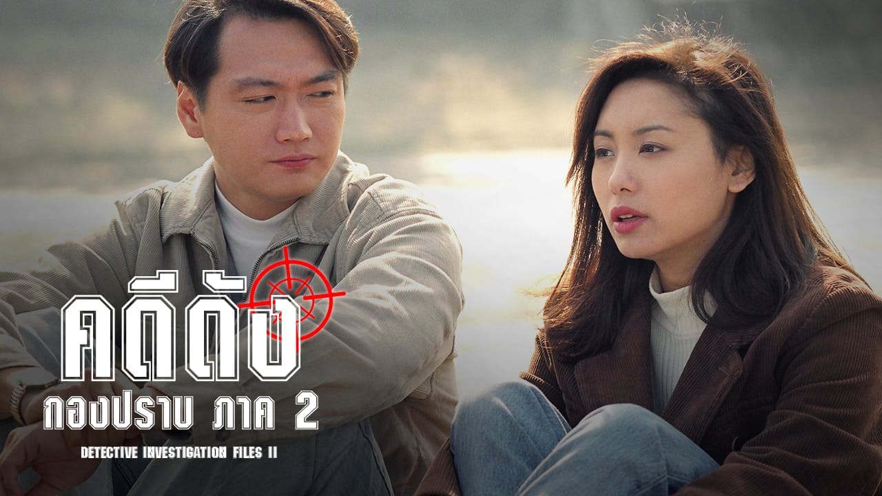 DETECTIVE INVESTIGATION FILES II